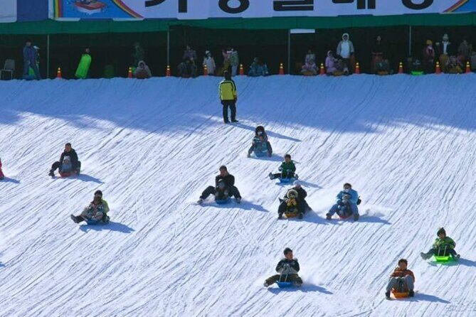 Strawberry Picking, Snow Sledding in Eobi Valley and Sheep Ranch - Authentic Farming and Scenic Views