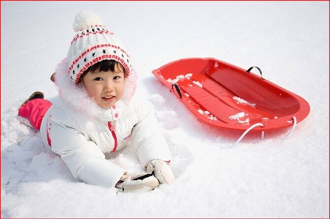 Strawberry Picking, Snow Sledding in Eobi Valley and Sheep Ranch - How It Compares in Value