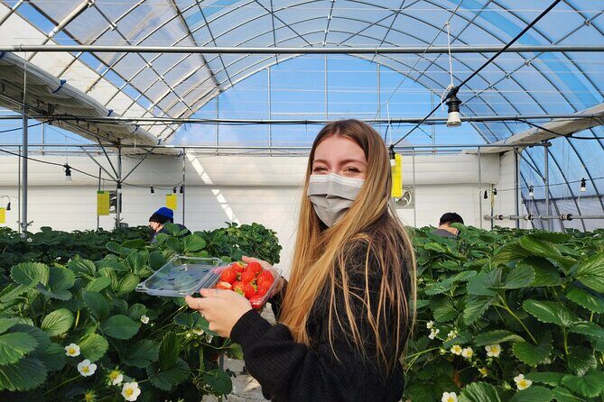 Strawberry Picking, Winter Sled with Eobi Ice Valley from Seoul - Final Thoughts