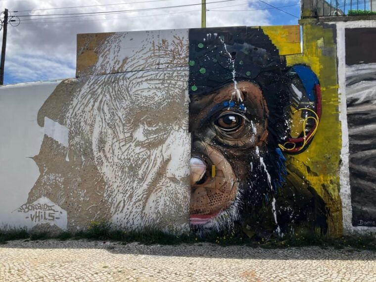 street-art-lisbon-tuk-tuk-tour