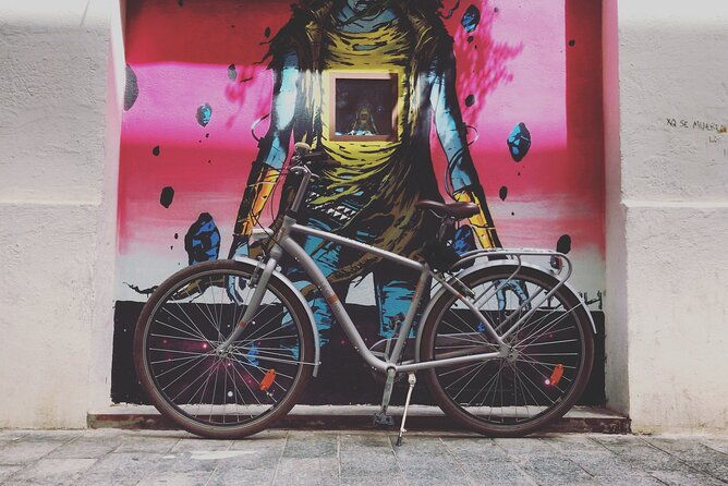 street-art-private-guided-tour-on-bike-e-bike-e-step-or-segway