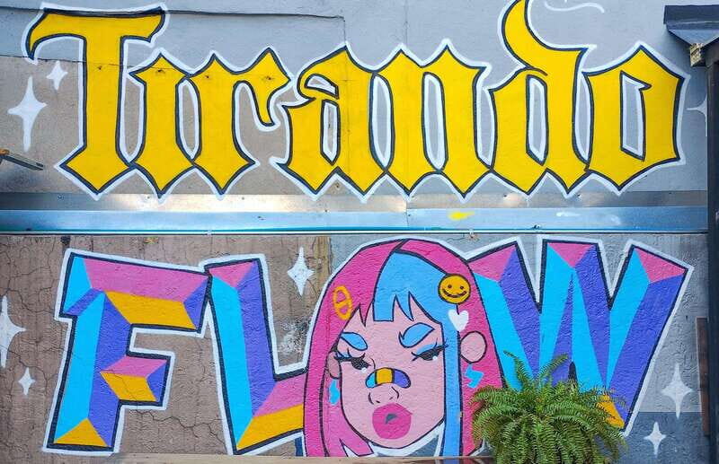 Street Art Tour: Downtown Mexico City - Who Is This Tour Best For?