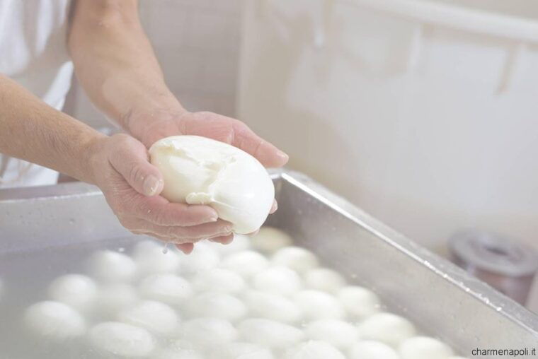 street-food-tour-the-neapolitan-culinary-art