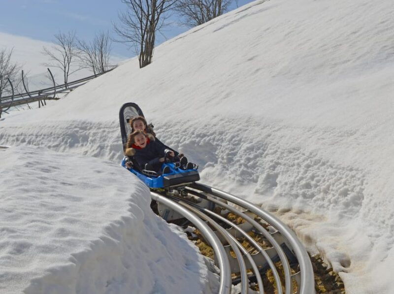 stresa-alpyland-alpine-coaster-ride-on-mount-mottarone
