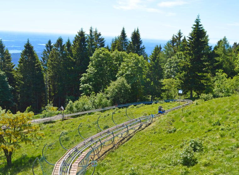 stresa-alpyland-alpine-coaster-ride-on-mount-mottarone