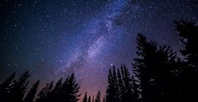 Stroll among the stars : Stargazing and Astronomy Tour - Practical Details and Value