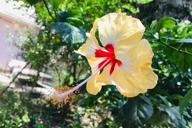 Stroll Through The French Quarters Of Pondicherry - FAQ