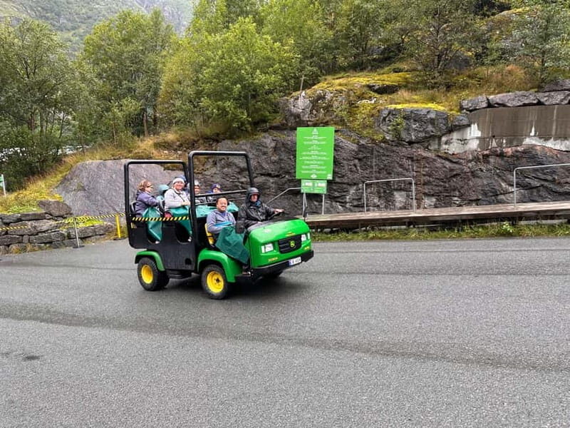 Stryn: Briksdal Glacier and Loen Skylift Tour with Picnic - Who Will Love This Tour?