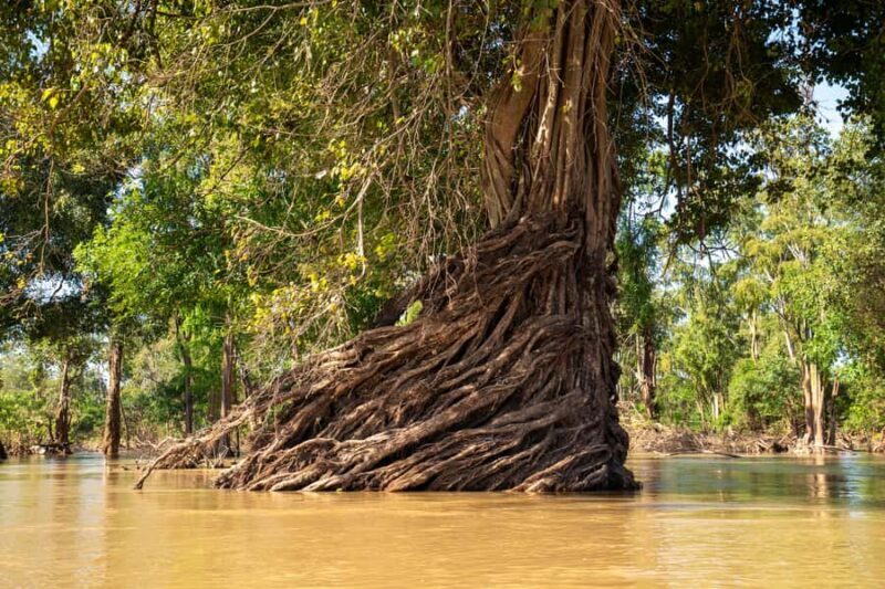 Stung Treng: 3 Nights Mekong River Boat Cruises and Kayaking - Final Thoughts