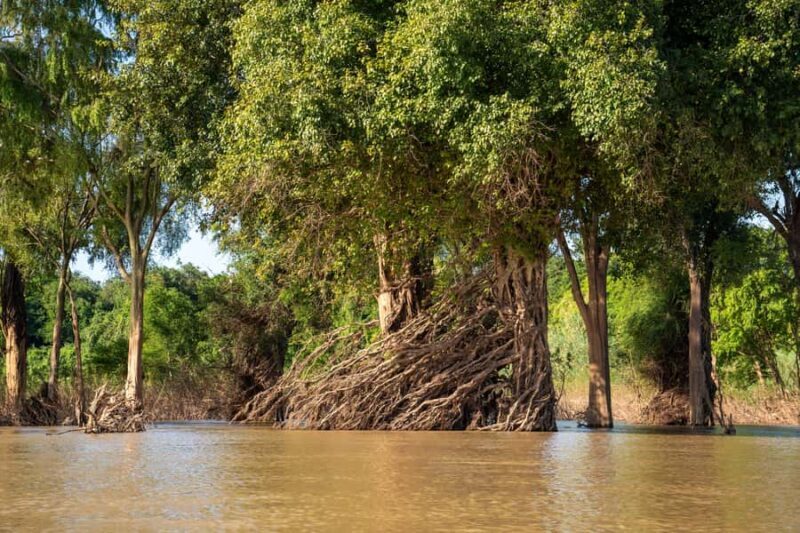 Stung Treng: Mekong River Boat Cruise to the Flooded Forests - Practical Details and Tips
