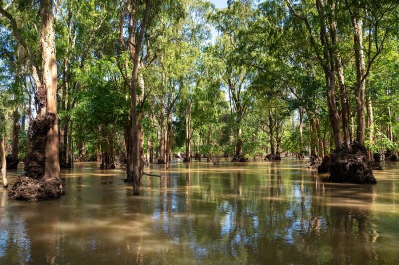 Stung Treng: Mekong River Boat Cruise to the Flooded Forests - Why This Tour Is Worth Considering