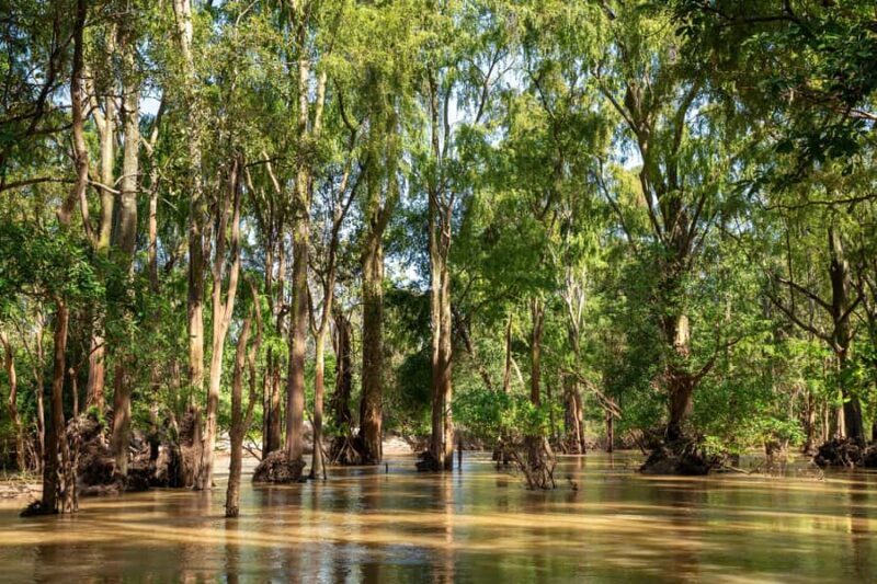Stung Treng: Mekong River Boat Cruise to the Flooded Forests - The Sum Up