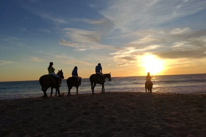 Stunning Sundown Beach Ride ... on horseback! - The Sum Up