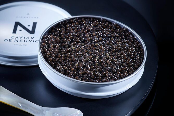 Sturgeon Fish-Farm Visit and Caviar Discovery Tasting in Neuvic - An In-Depth Look at the Tour Experience