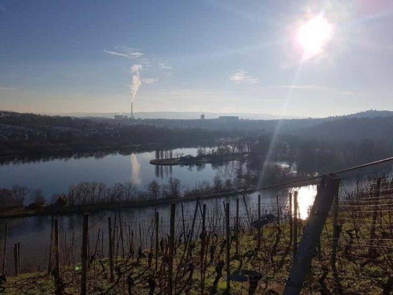 Stuttgart: 4-castle winter hike with costume tour - The Highlights: What Makes This Tour Special?
