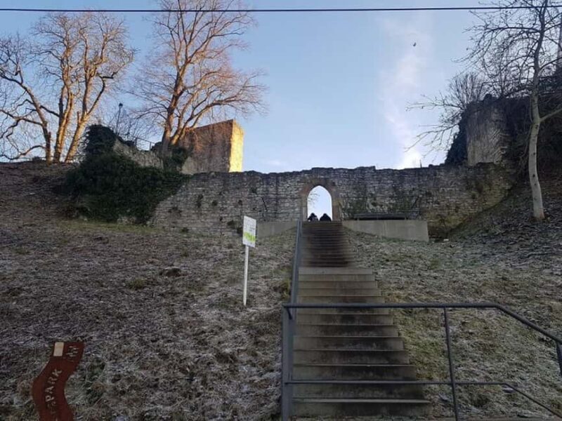 Stuttgart: 4-castle winter hike with costume tour - The Practicalities: What You Need to Know