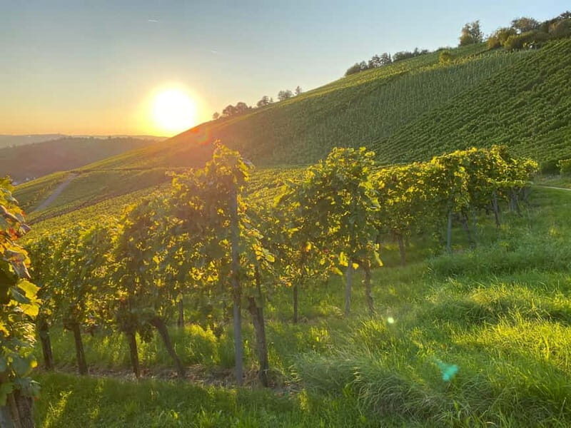 Stuttgart: After work wine walk with tasting - A Closer Look at the Experience