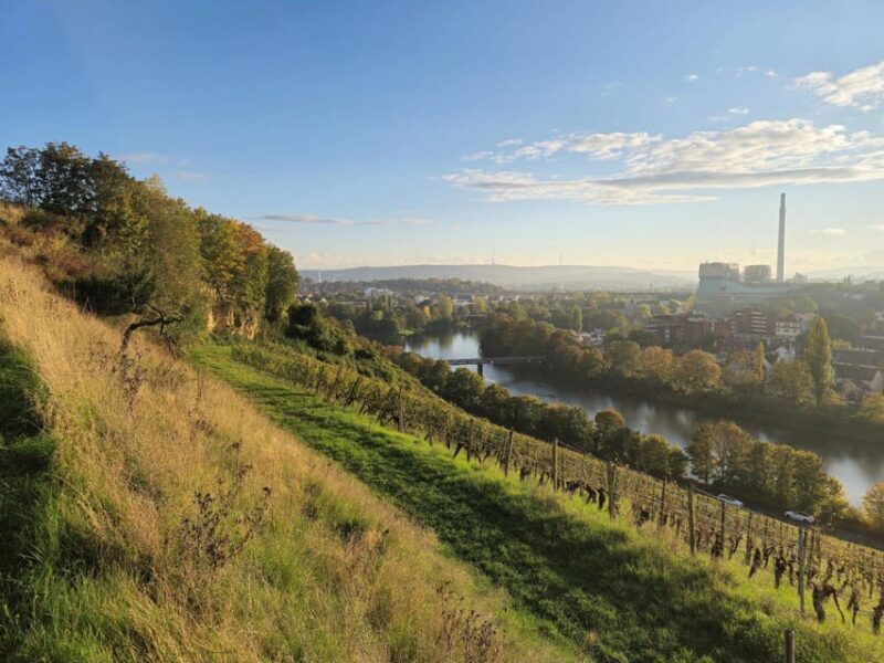stuttgart-bbq-sunset-tour-on-the-neckar