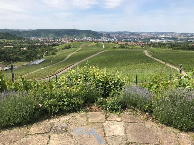 Stuttgart: E-bike wine tour including tasting - Key Points