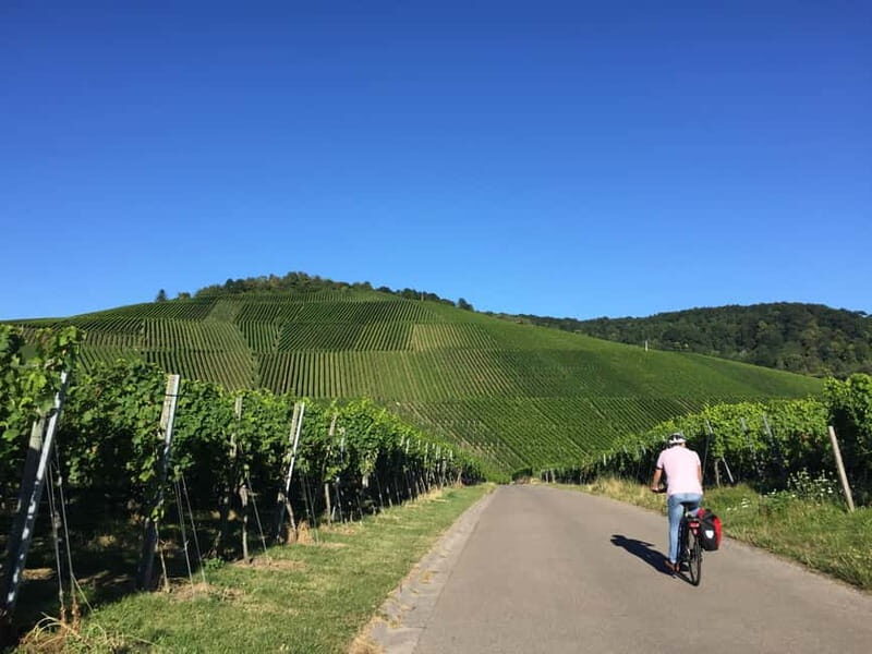 Stuttgart: E-bike wine tour including tasting - Discover the Charm of Stuttgart’s Vineyards on E-bikes