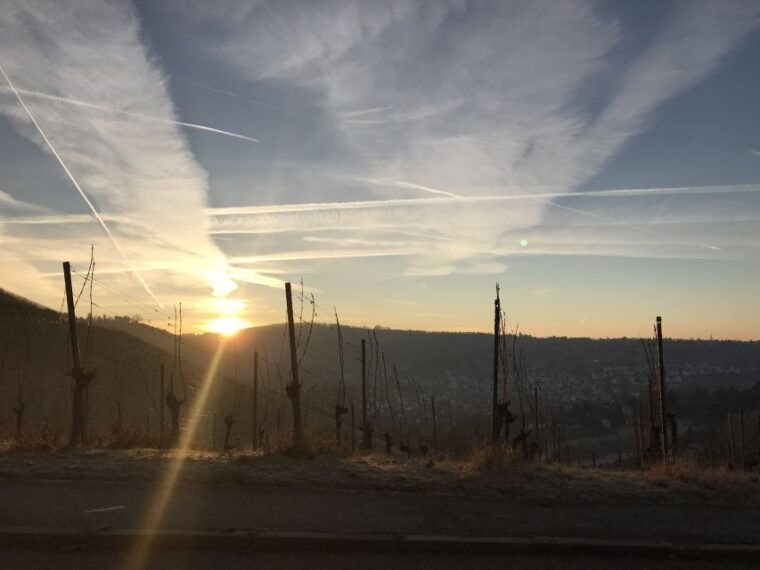 stuttgart-guided-mulled-wine-tour