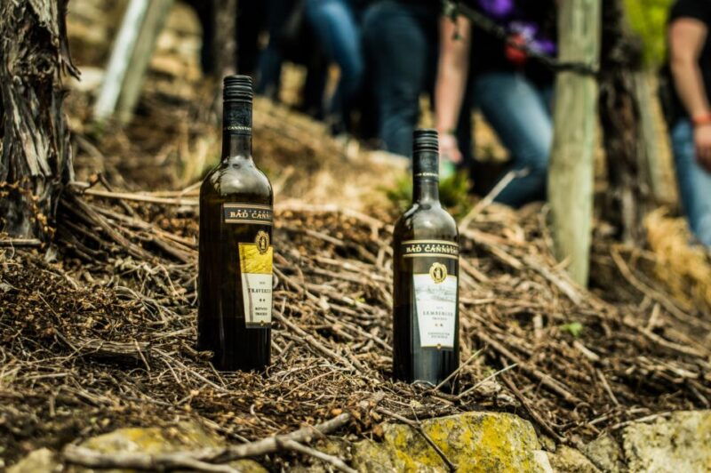 stuttgart-guided-vineyards-tour