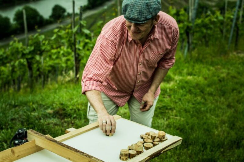 stuttgart-guided-vineyards-tour