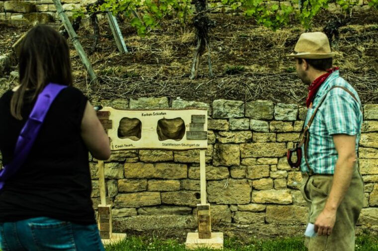 stuttgart-guided-vineyards-tour