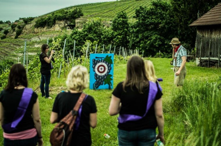 stuttgart-guided-vineyards-tour