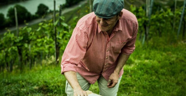 stuttgart-guided-vineyards-tour