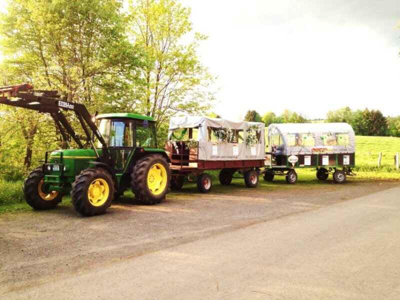 stuttgart-vineyard-tour-by-covered-wagon