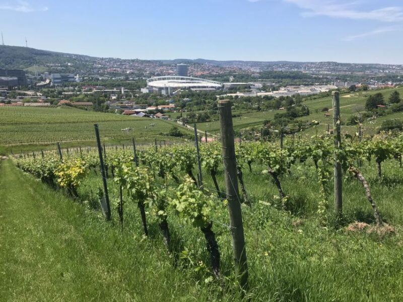 stuttgart-wine-tour-with-wines-of-the-best-winemakers