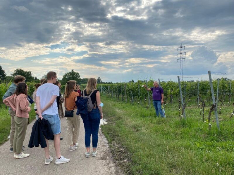 stuttgart-wine-tour-with-wines-of-the-best-winemakers