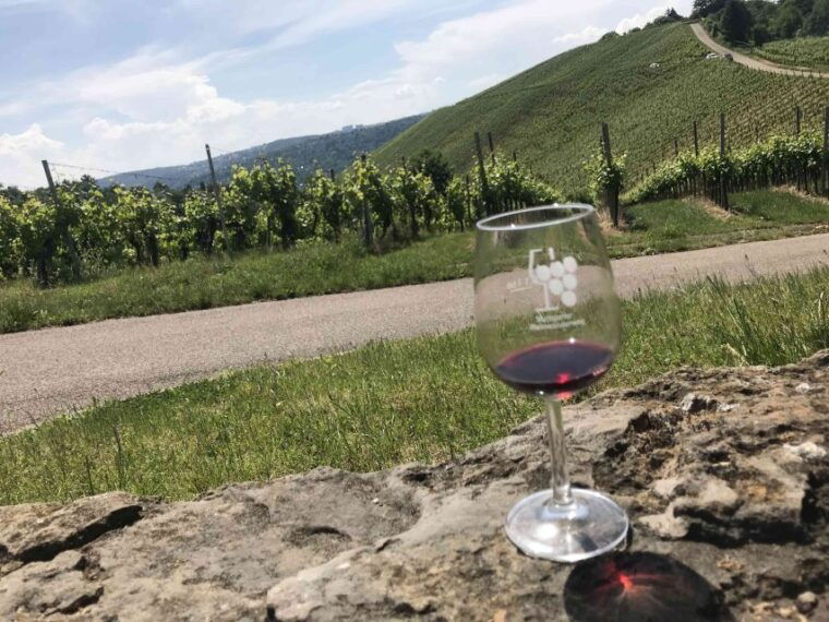 stuttgart-wine-tour-with-wines-of-the-best-winemakers
