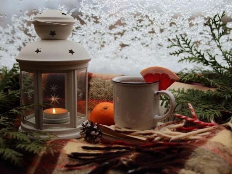 Stuttgart: Winter sleigh covered wagon tour - Key Points