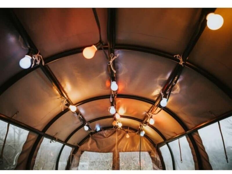 Stuttgart: Winter sleigh covered wagon tour - A Detailed Look at the Tour: What You Can Expect