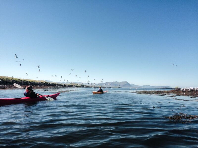 stykkisholmur-2-hour-sea-kayak-tour