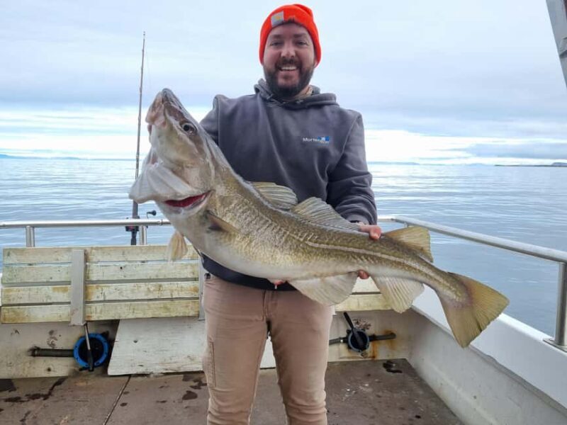 Stykkishólmur: Sea Angling Tour with Local Guide - Who Will Love This Tour?