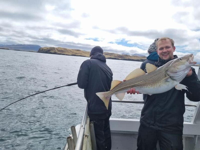 Stykkishólmur: Sea Angling Tour with Local Guide - The Sum Up