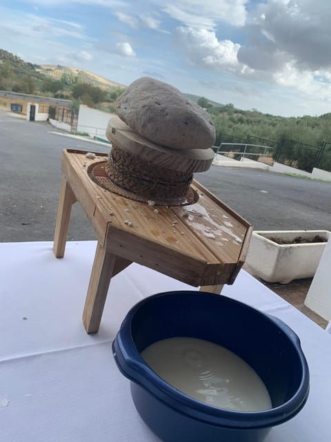 subbetica-artisanal-cheese-making-workshop-in-los-balanchares