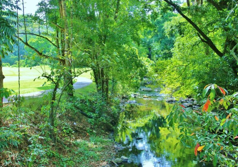 Subic: Day Golf Entry - Exploring the Subic International Golf Club Experience