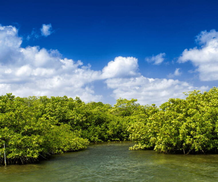 subic-inflatable-island-from-manila-and-subic-transfer