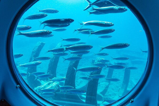 submarine-adventure-submarine-excursion-in-puerto-de-mogan