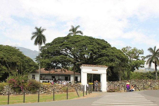 sugar-cane-hacienda-el-paraiso-nature-day-tour