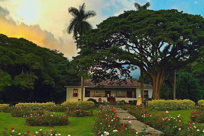 sugar-cane-hacienda-el-paraiso-nature-day-tour