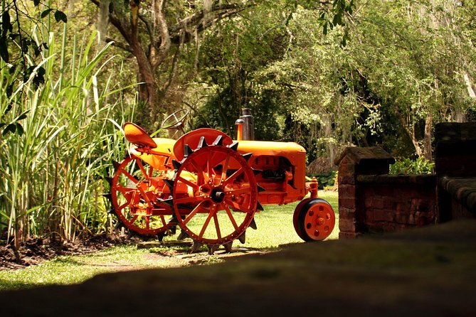sugar-cane-museum-and-hacienda-la-maria