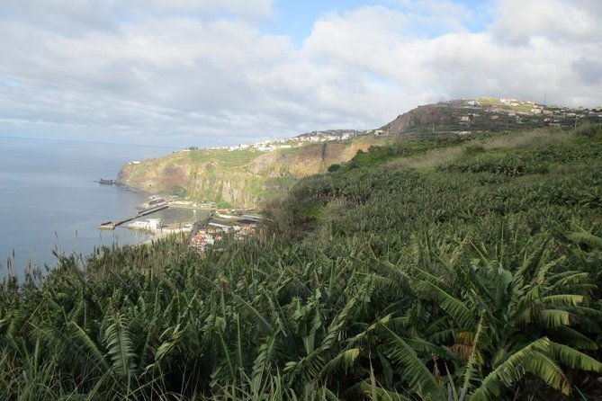 sugar-route-levada-nova-half-day-walk