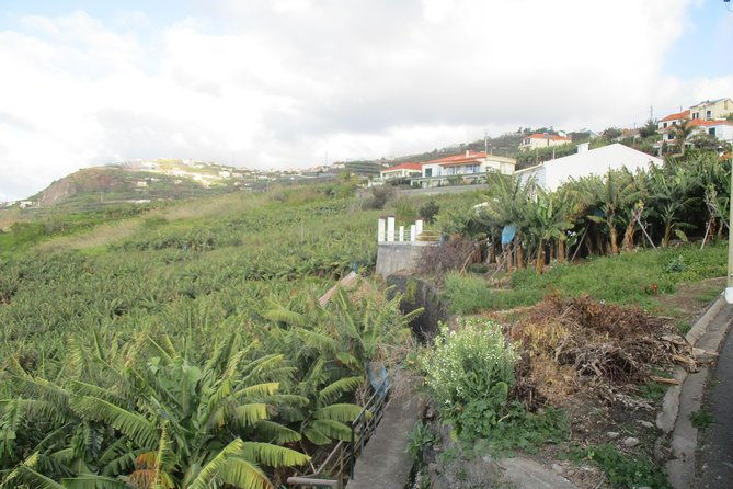 sugar-route-levada-nova-half-day-walk