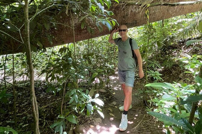 sugarloaf-hike-and-easy-climb-sugarloafs-coast