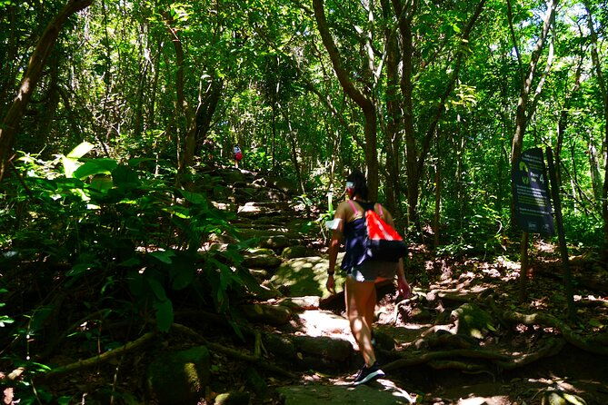 sugarloaf-hike-and-happy-hour-with-locals-private-tour